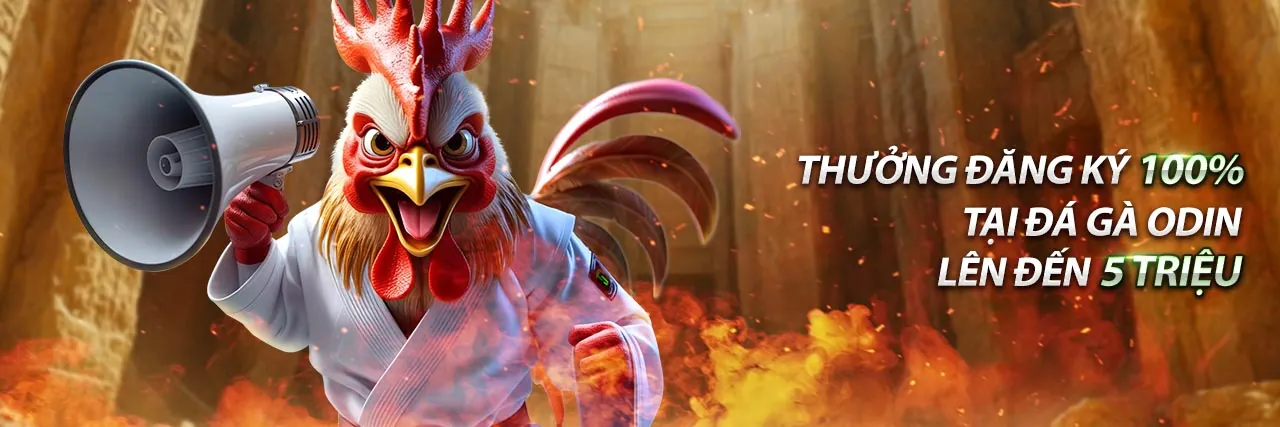 Hình ảnh chọn nền tảng giải trí tốt nhất với ứng dụng win555